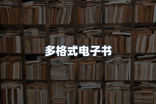 多格式电子书